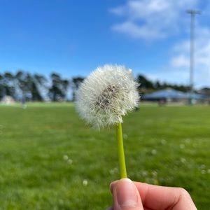 Meet your Posher, Yen